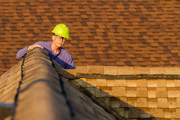 Best Storm Damage Roof Repair  in Walbridge, OH